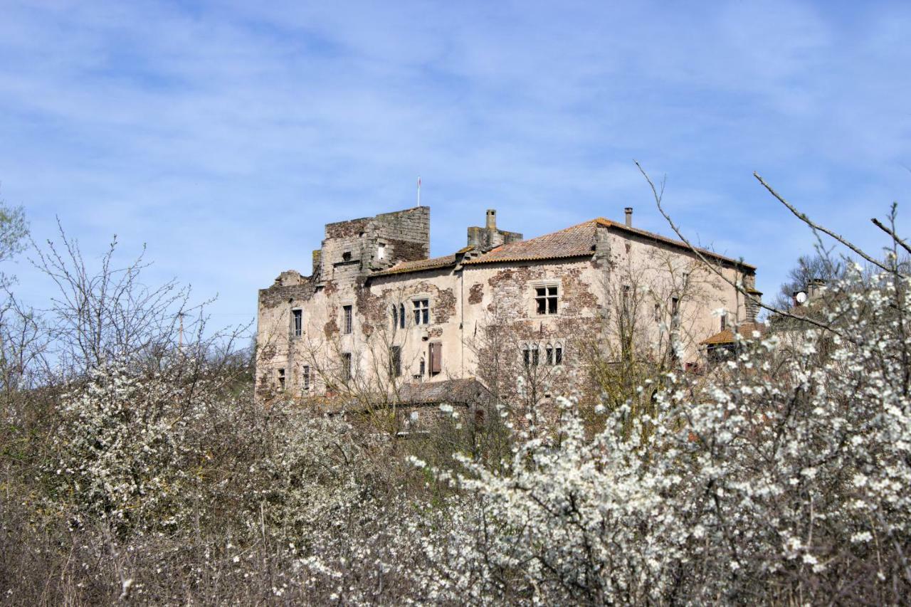 Chateau De Latour Sur Sorgue Marnhagues-et-Latour Esterno foto